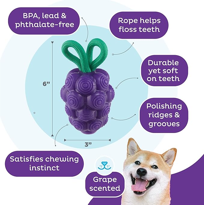 Outward Hound Dental Grapes Dental Chew Toy and Interactive Treat Stuffer Durable Dog Toy Stuffable Dog Toy, Medium, Purple