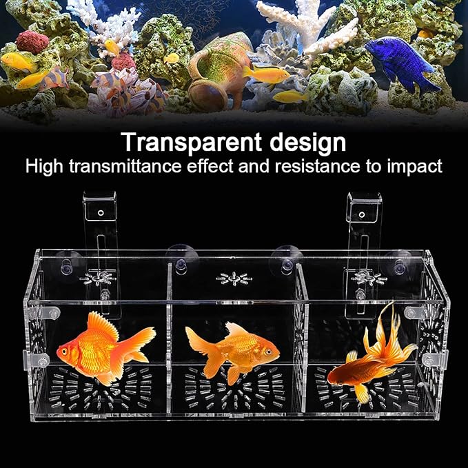 Fish Breeding Box, Acrylic Transparent Fish Breeding Isolation Box Aquarium Hatchery Incubator Holder Fish Separation Breeder Box, with Hook and Sucker Design (30CM*10CM*10CM)