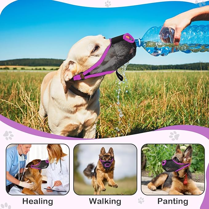 Dog Muzzle, Soft Air Mesh Muzzle for Small Medium Large Dogs Anti Biting Barking Chewing Scavenging, Breathable Adjustable Loop Pets Muzzle with Front Opening Design Allows Panting Drinking(Purple, S)