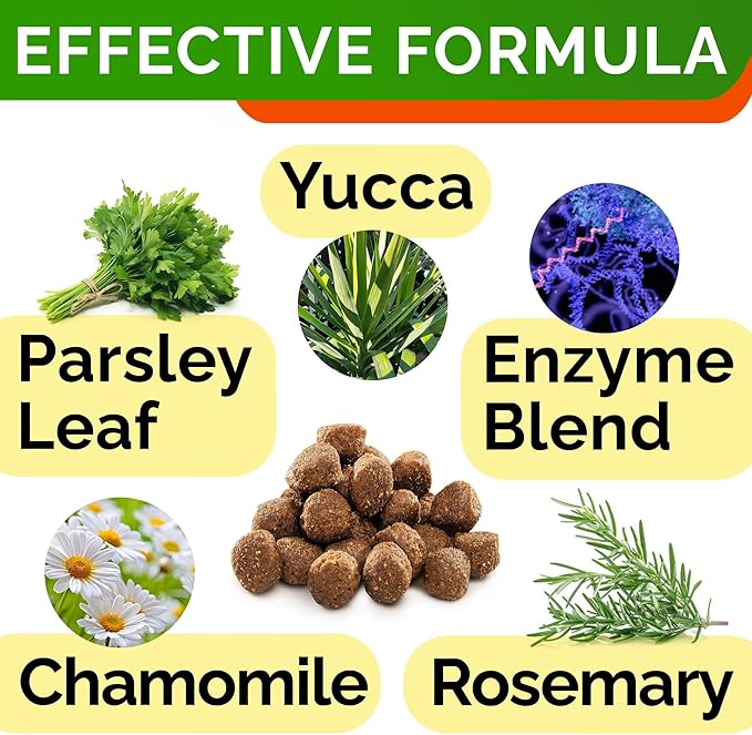 STRELLALAB No Poo Treats for Dogs - Coprophagia Stool Eating Deterrent - No Poop Eating for Dogs - Digestive Enzymes - Gut Health & Immune Support - Stop Eating Poop - Chicken Liver Flavor 180 Chews