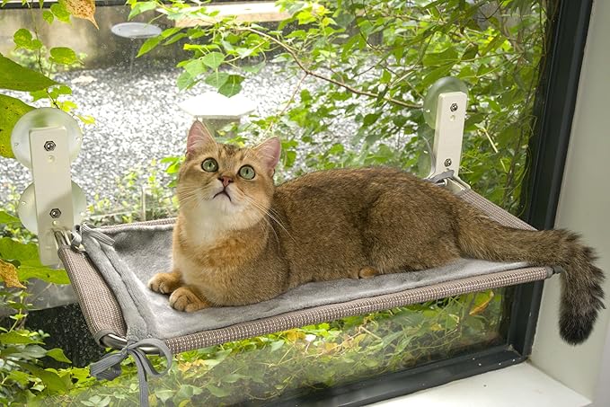 24'' Foldable Cat Window Perch, Sturdy and Stable Cat Window Hammock with 4 Strong Upgraded Suction Cups and Wall Anchors, Premium Reinforced Material and Flannel Cover Cat Bed for Large Cats