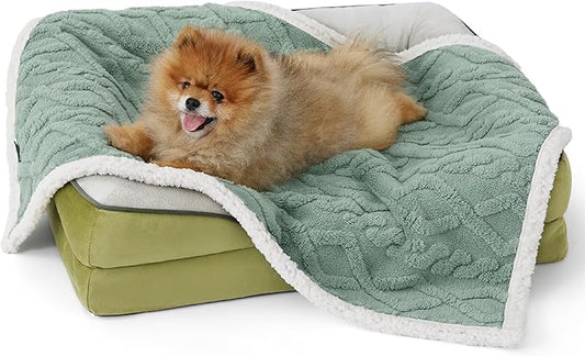 Bedsure Waterproof Dog Blankets for Small Dogs - Pet Blanket for Couch Protector Washable, Premium Jacquard Coral Fleece Cat Throw Blanket, Soft Plush Reversible Furniture Protection, 25"x35", Green