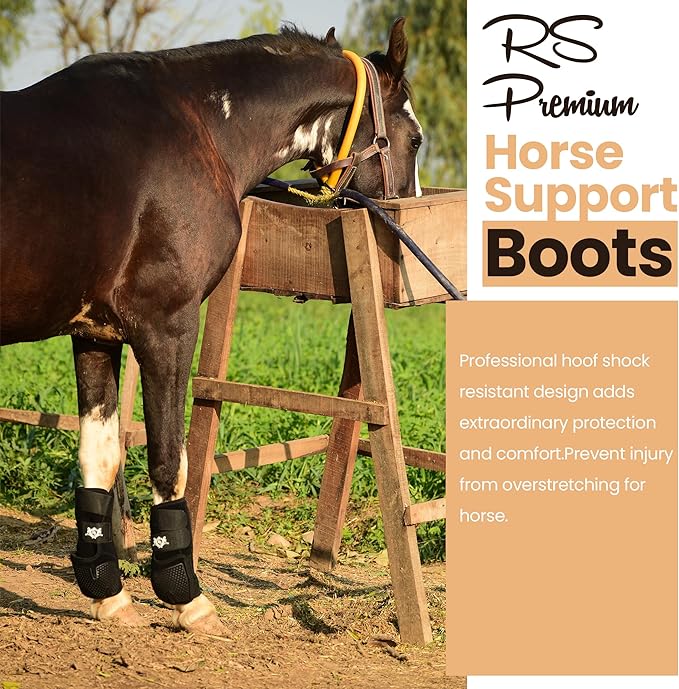 RS Premium Design Horse Boots, Protective and Shock Absorber | Horse Fly Boots Best for Jump Training and for Trails | Ok Fabric Provides Ultimate Flexibility (Black, Large)