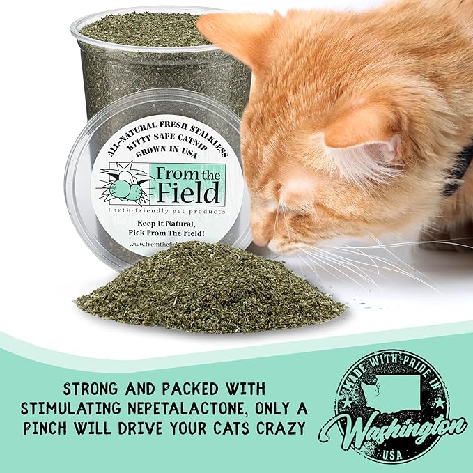 From the Field Catnip for Cats – All Natural Cat Nip, Finely Ground without Stalks or Stems, Resealable – Fresh, Potent and Grown in the USA Promotes Cat Exercise, Play and Engagement [Size Variation]