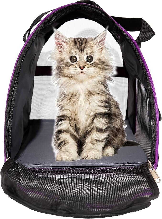 Pet Carrier Soft-Sided Carriers for Cat Carriers Dog Carrier for Small Medium Cats Dogs Puppies Pet Carrier Airline Approved up to 15 Lbs Cat Dog Pet Travel Carrier (Medium, Purple)