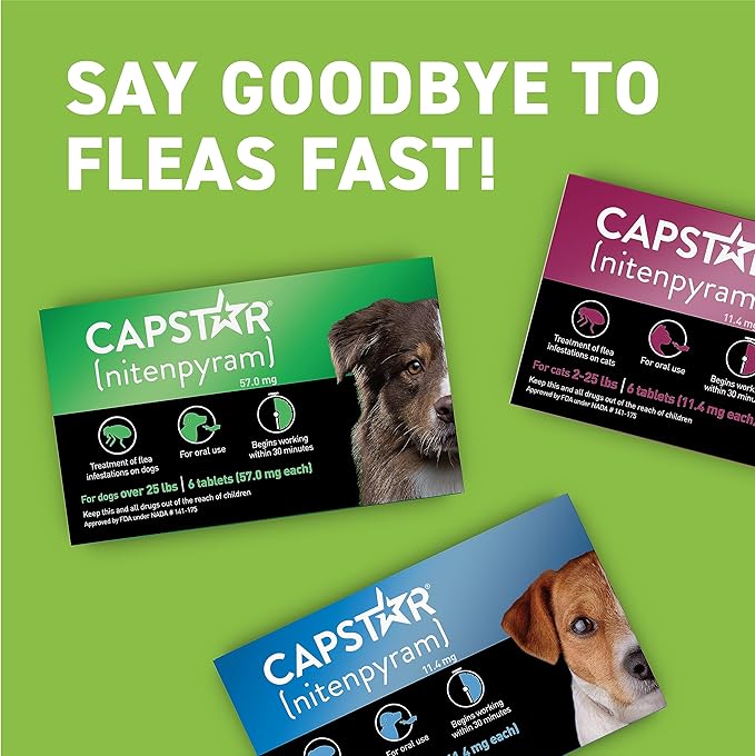 Capstar (nitenpyram) for Dogs, Fast-Acting Oral Flea Treatment for Dogs over 25+ lbs, Vet-Recommended Flea Medication Tablets Start Killing Fleas in 30 Minutes, 12 Doses