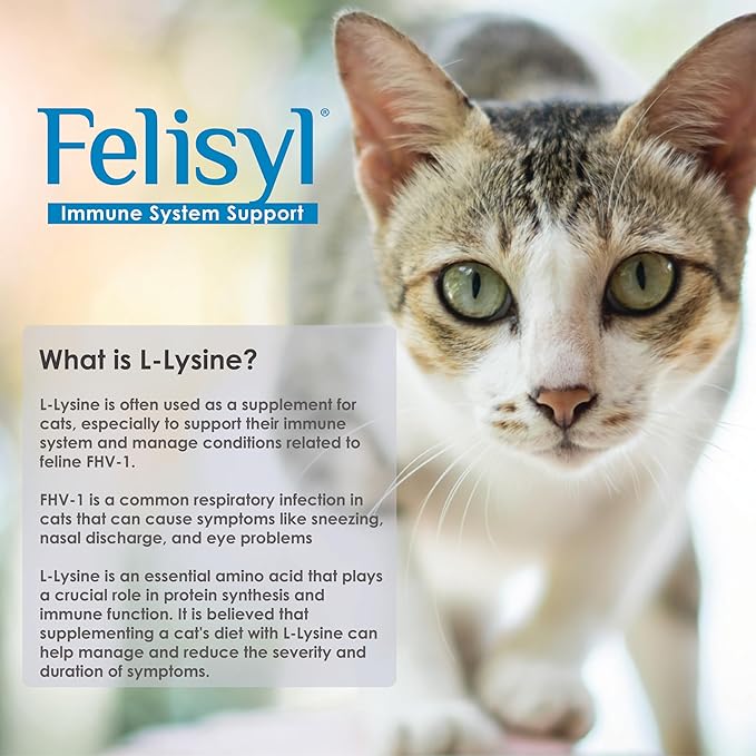 L-Lysine Gel for Cats - Immune System Support - Supplement Support for Healthy Tissue, Respiratory, and Vision - Salmon-Flavored - Made in The USA - 5 oz