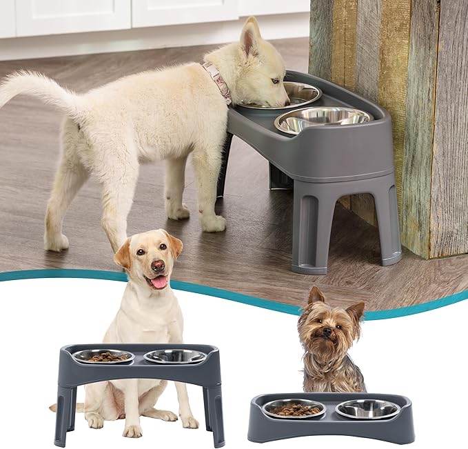 IRIS USA Elevated Dog Bowls, Adjustable Height, 2 Thick 64 oz Stainless Steel Bowls, Spill-Proof with Raised Outer Rim, Durable Made in USA Plastic, Easy Assemble, 2 Heights 4.63" or 12.25" Dark Gray