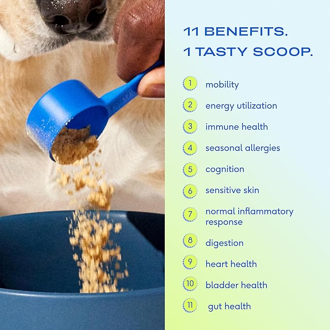 Native Pet The Daily Dog Supplement - 11 in 1 Dog Multivitamin for Dog Health - Tasty Scoop with Dog Vitamins and Supplements - Super Multi Vitamin for Dog, Pet Health - 12 Active Ingredients (7 oz.)