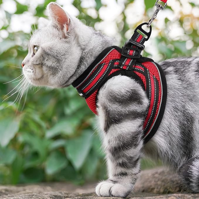 rabbitgoo Cat Harness and Leash Set for Walking Escape Proof, Adjustable Soft Kittens Vest with Reflective Strip for Cats, Comfortable Outdoor Vest, Red, L