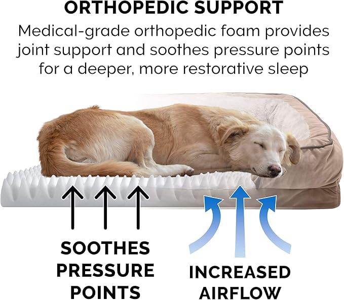 Furhaven Orthopedic Dog Bed for Medium/Small Dogs w/ Removable Bolsters & Washable Cover, For Dogs Up to 35 lbs - Plush & Velvet Waves Perfect Comfort Sofa - Brownstone, Medium