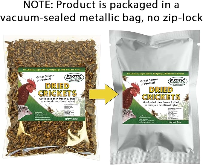 1/2 Pound Dried Crickets - High Protein Insect Treat - Chickens, Wild Birds, Hedgehogs, Bluebirds, Reptiles, Sugar Gliders, Opossums, Skunks, Lizards, Bearded Dragons, Fish, Turtles 8 oz. (1 Pack)