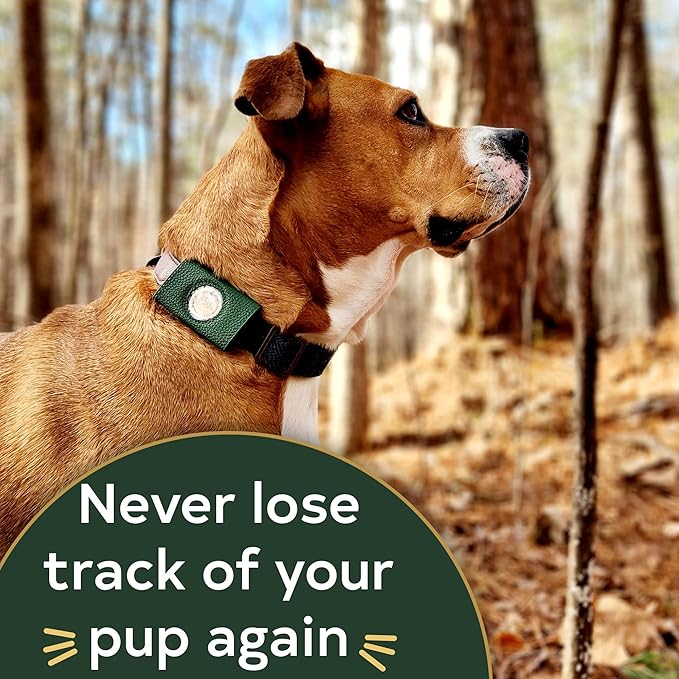 Dog Collar ID Holder - Dog Tag Silencer - No Noise Dog Tag Pouch for Dog Collar - Dog ID Tag Protector - Pockets for Dog accessories, Rabies Tags, Poop bags - Slide on Dog ID - Pet tag (Green)