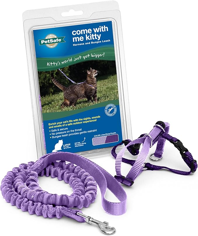 PetSafe Come with Me Kitty Harness and Bungee Leash, Harness for Cats, Small, Lilac/Bright Purple