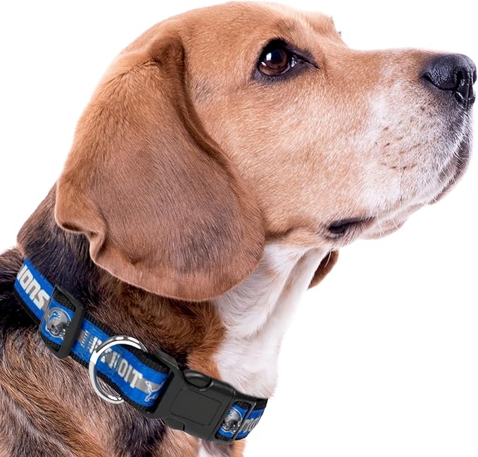 NFL PET Collar Detroit Lions Dog Collar, Large Football Team Collar for Dogs & Cats. A Shiny & Colorful Cat Collar & Dog Collar Licensed by The NFL