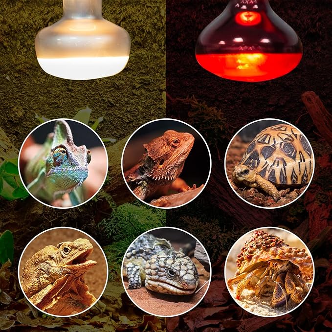 REPTI ZOO 2 Pack 100W Reptile Heat Lamp Bulbs,Upgraded Reptile Day and Night Basking Spot Bulb Combo Amphibian Infrared Heat Lamp Bulb/UVA Basking Spot Daylight Heating Light Bulb