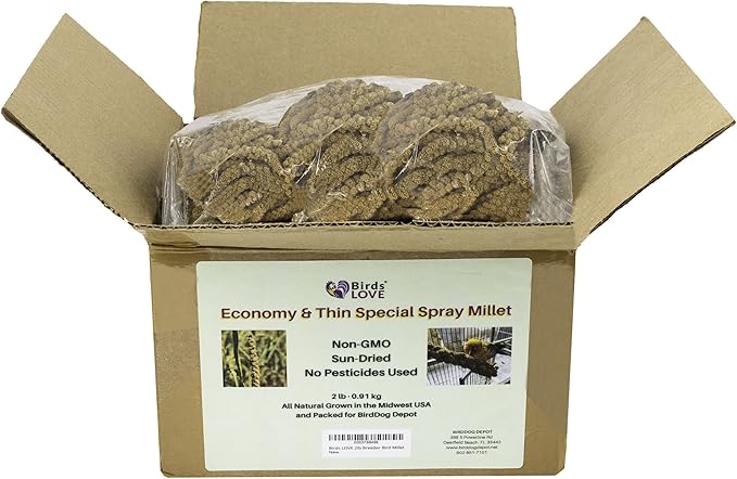 Birds LOVE Economy & Thin Special Spray Millet GMO-Free (No Stems Only Edible Tops) for Birds Cockatiel Lovebird Parakeet Finch Canary All Parrots Healthy Treat - 2lbs