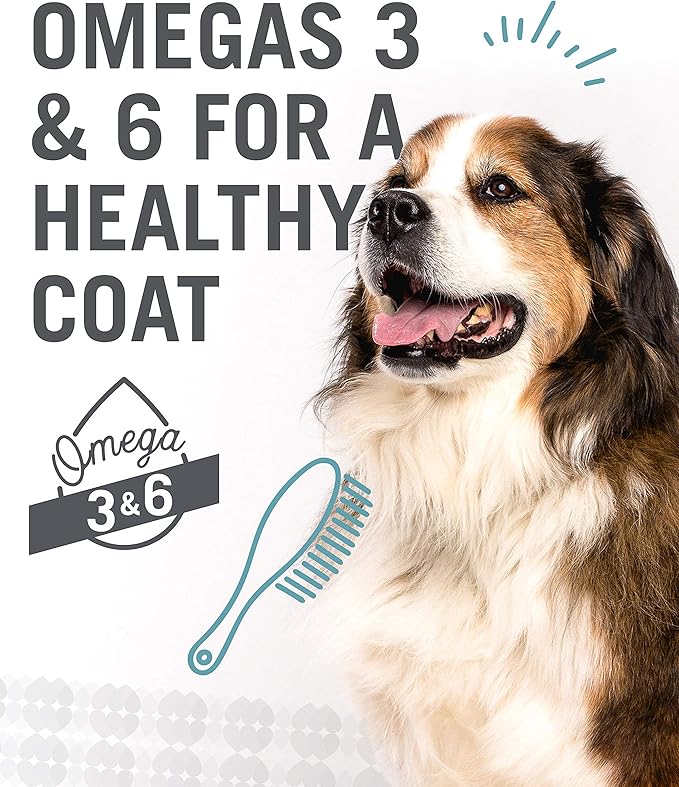 I and love and you Naked Essentials Ancient Grains Dry Dog Food - Chicken + Turkey - High Protein, Real Meat, No Fillers, 23lb Bag