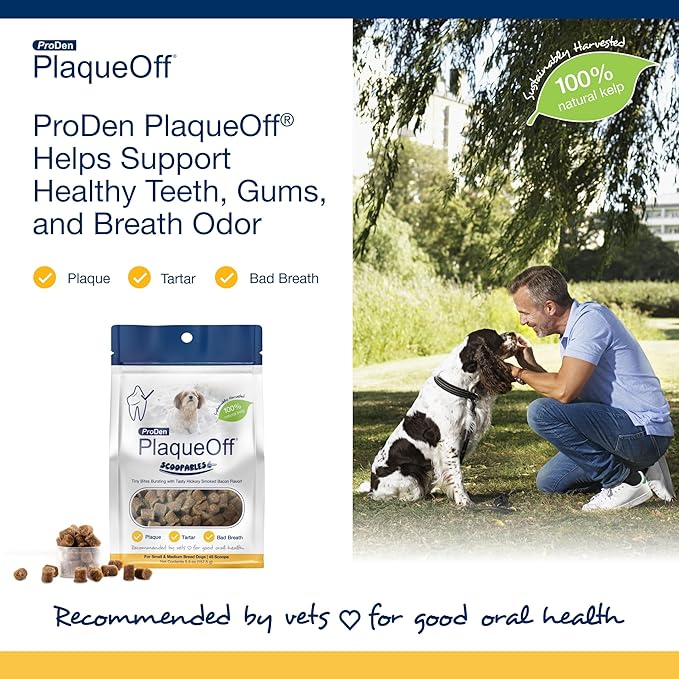 ProDen PlaqueOff Scoopables - Hickory Smoked Bacon Flavor Dental Bites for Small Dogs, Natural Kelp for Plaque & Tartar Control, Freshens Breath - Small & Medium Breed Dental Care- 45 Scoops