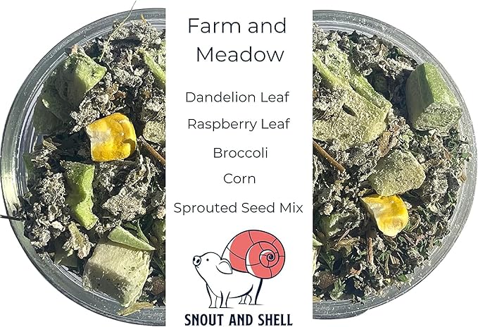 Farm and Meadow Hermit Crab Food - Green Blend Diet of Dandelion Leaf, Cilantro, Raspberry Leaf, Broccoli, Corn - Eco Animal Pet Snack Treat for Protein & Nutrients | 39g