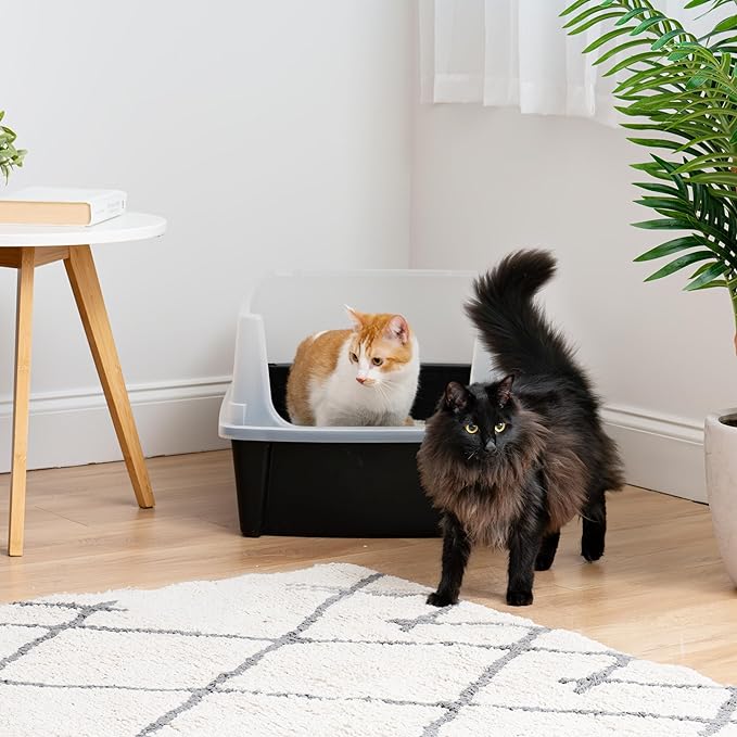 IRIS USA Extra Large Cat Litter Box with Scatter Shield, Open Top High Sided Cat Litter Pan, Black