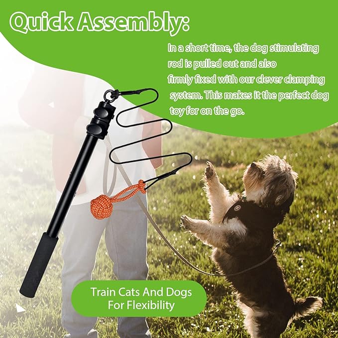 Flirt Pole for Dogs, Interactive Toys Tug-of-war for Dogs, Durable Teaser Wand, Chase Toys with Rope Chewing Sticks, for Outdoor Exercise & Training