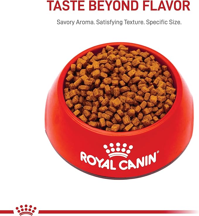 Royal Canin Chihuahua Puppy Breed Specific Dry Dog Food, 2.5 lb. bag