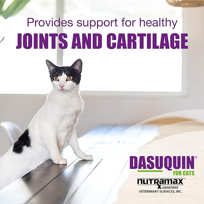Nutramax Dasuquin Joint Health Supplement for Cats - With Glucosamine, Chondroitin, ASU, Boswellia Serrata Extract, Green Tea Extract, and Omega-3, 84 Soft Chews