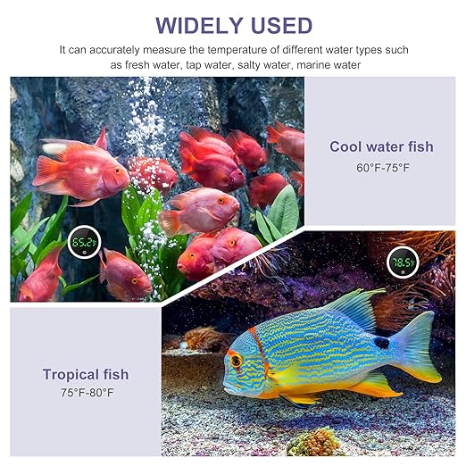 JXTZ Aquarium Thermometer, Mini Digital LED Fish Tank Thermometer with High Precision, Touch Wake-up, Range of 32℉-140°F, Water Thermomete for Freshwater Marine Aquariums