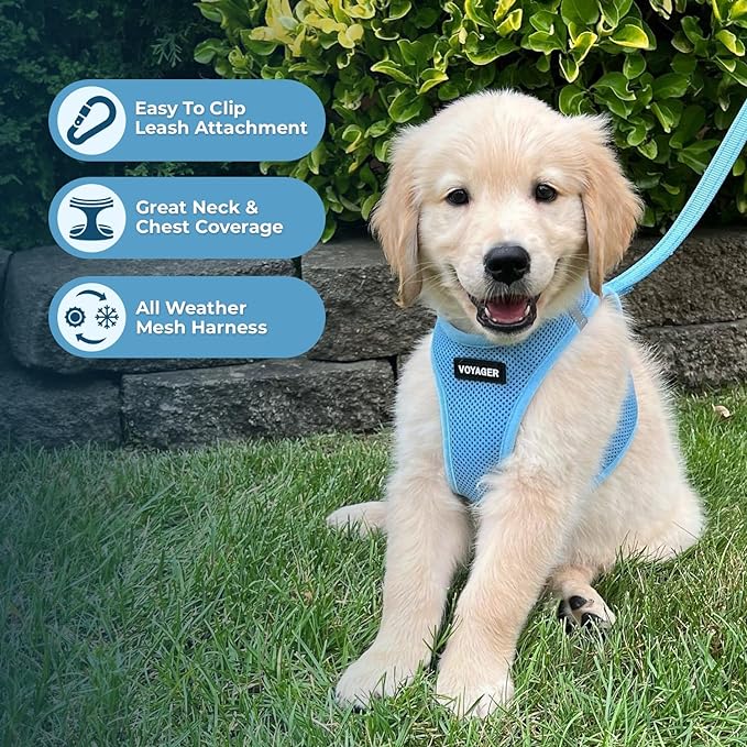 Voyager Step-in Air Dog Harness - All Weather Mesh Step in Vest Harness for Small and Medium Dogs and Cats by Best Pet Supplies - Harness (Baby Blue), XS (Chest: 13-14.5")