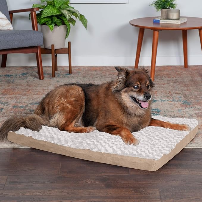 Furhaven Orthopedic Dog Bed for Large/Medium Dogs w/ Removable Washable Cover, For Dogs Up to 55 lbs - Ultra Plush Faux Fur & Suede Mattress - Cream, Large