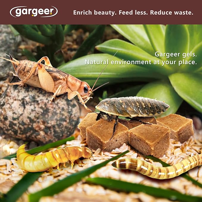 Bugs and Insects Food. Complete Gel Diet for Roaches, Crickets, Worms, Dubia, Fly, etc. Made in The USA, Using Premium Nutritional Ingredients. 3oz Powder Turns into 1 Pound of Ready Food.