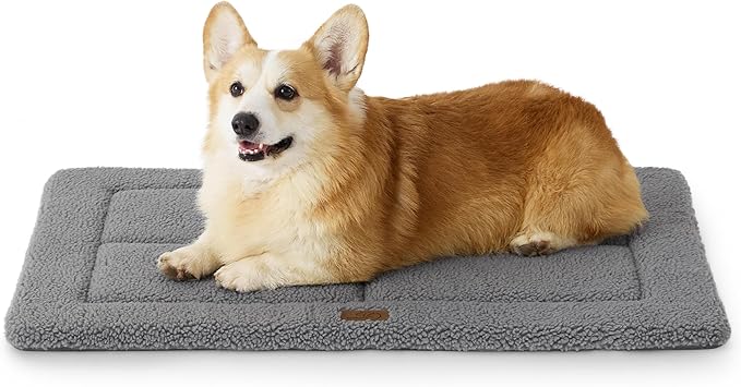 Bedsure Washable Dog Crate Bed for Medium Dogs, Reversible Foam Floor Dog Mat, Lightweight Travel Flat Pet Beds for Indoor & Outdoor Dogs (29" x 21", Grey)