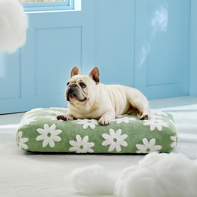 Lesure Dog Bed Medium Size Dog-Thick Shredded Chopped Foam Pet Bed, Dog Bed Indoor with Removable Cover, Cute Modern Fuzzy Plush & Anti Slip Bottom(30'x20', Green)
