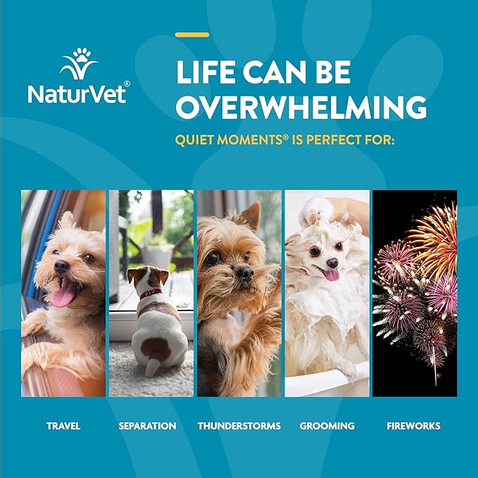 NaturVet Quiet Moments Calming Aid Dog Supplement, Helps Promote Relaxation, Reduce Stress, Storm Anxiety, Motion Sickness for Dogs (Quiet Moments, 180 Soft Chews)