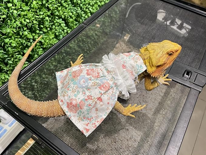 Lizard Dress for Bearded Dragon - Handmade Cotton Tutu Skirt with Lace Princess Sundress Halloween Costume Photo Cosplay Party for Reptile Lizard Bearded Dragon Crested Gecko Chameleon (M, Pink)