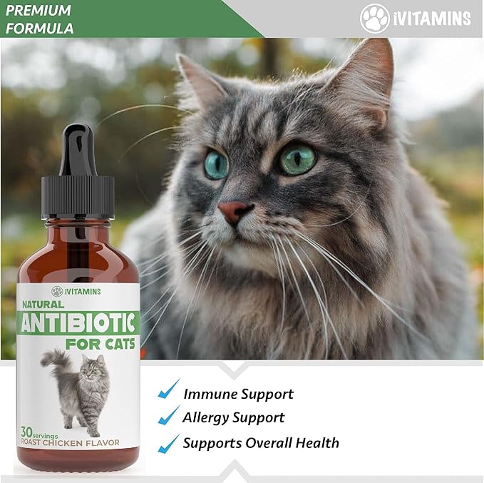 Natural Alternative Cat Antibiotic | Cat Antibiotics | Antibiotics for Cats | Antibiotic for Cats | Cat Antibiotics for UTI | Cat UTI | Cat UTI Treatment | Cat UTI Antibiotics | 1 fl oz (1)