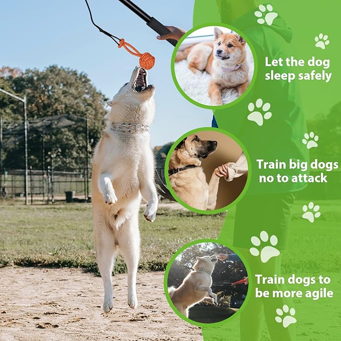 Flirt Pole for Dogs, Interactive Toys Tug-of-war for Dogs, Durable Teaser Wand, Chase Toys with Rope Chewing Sticks, for Outdoor Exercise & Training