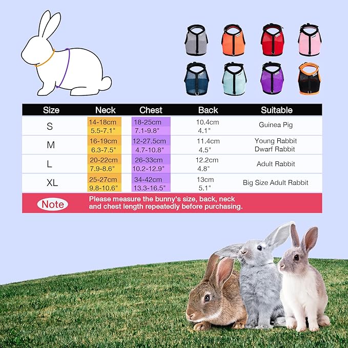 Niteangel Adjustable Soft Harness with Elastic Leash for Rabbits (M, Blue)