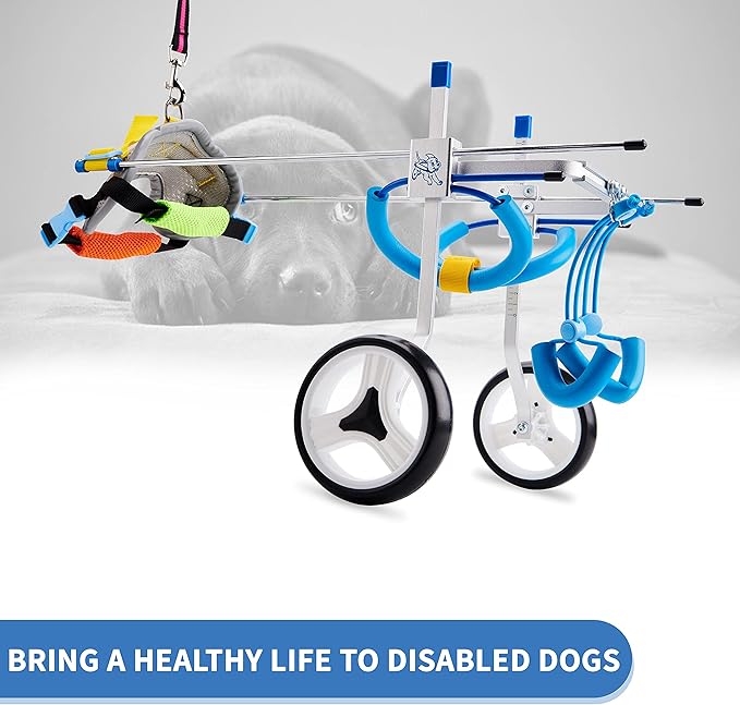 Adjustable Dog Wheelchair for Back Legs| Pet Wheelchairs with Disabled Hind Legs Walking|Stabel & Light Weight (7-Size) (XSLW)