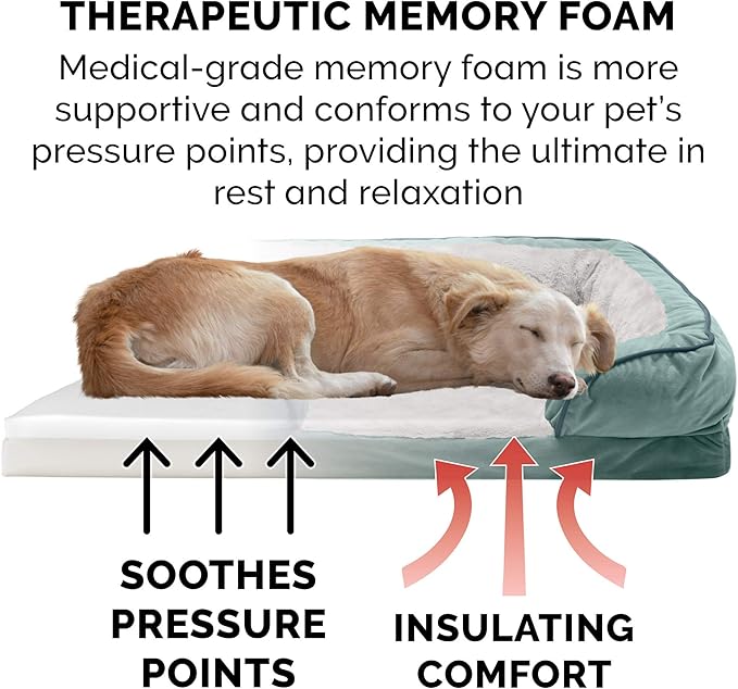 Furhaven Memory Foam Dog Bed for Large/Medium Dogs w/ Removable Bolsters & Washable Cover, For Dogs Up to 55 lbs - Plush & Velvet Waves Perfect Comfort Sofa - Celadon Green, Large