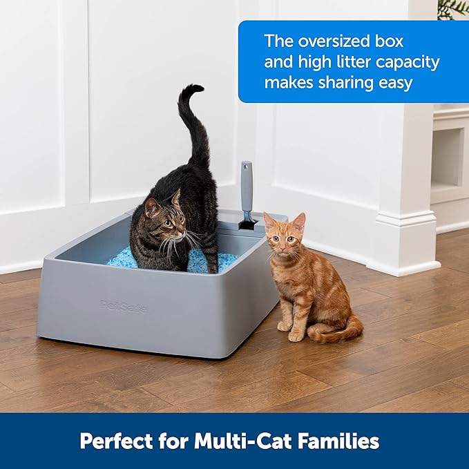 PetSafe Multi-Cat Litter Box, Extra Large Litter Box for Cats, Giant Ergonomically-Designed Scoop, Use with Crystal or Clumping Litter