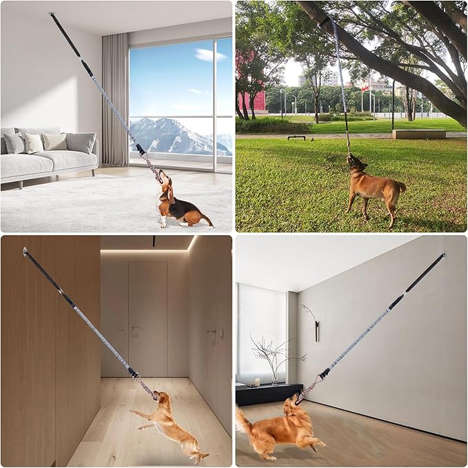 Outdoor Bungee Tug Toy，Dog Toy Hanging from Wall, Interactive Exercise Play Cord & Tether Chew Rope Toy for Large Breed Puppies & Small Dog adult with Fixed Disk for Wall (Gray)