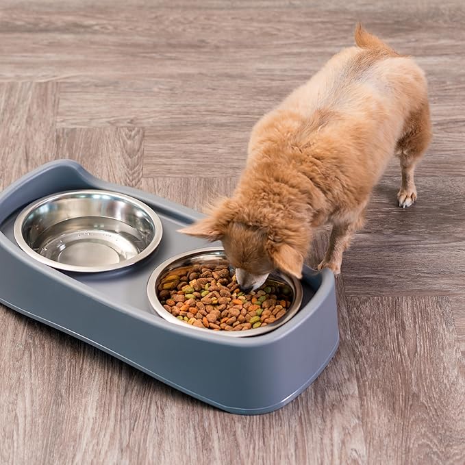 IRIS USA Elevated Dog Bowls, Adjustable Height, 2 Thick 64 oz Stainless Steel Bowls, Spill-Proof with Raised Outer Rim, Durable Made in USA Plastic, Easy Assemble, 2 Heights 4.63" or 12.25" Dark Gray