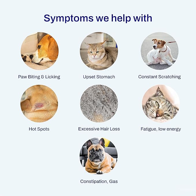 AFIL Pet Raw Food Intolerance Test for Dogs and Cats - 300+ Items Tested - at Home Food Sensitivity Test - Raw Dairy, Raw Fruits, Raw Proteins, Raw Vegetables - Fast Results