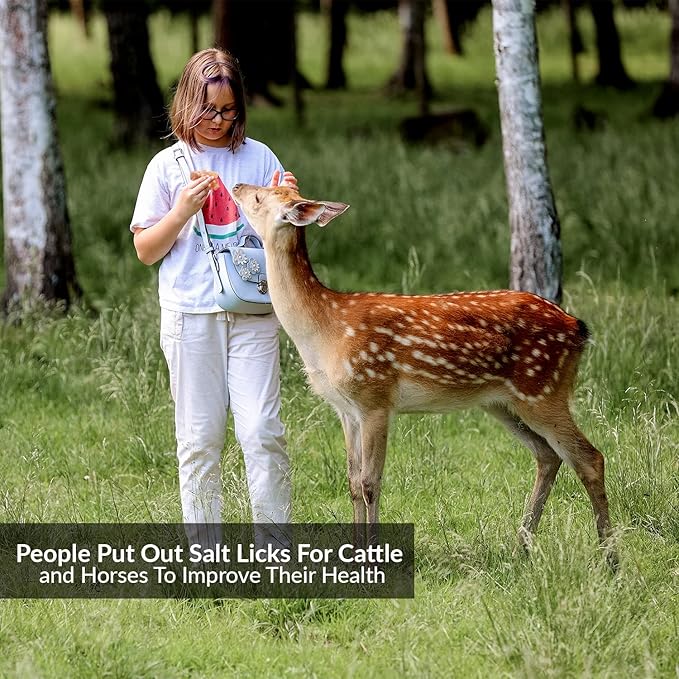 Licking Salt for Deer - 2 Pack