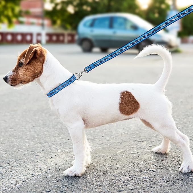 Pets First NFL Tennessee Titans Licensed PET COLLAR, Small - Heavy-Duty, Strong, and Durable Dog Collat. Available in 32 Football Teams