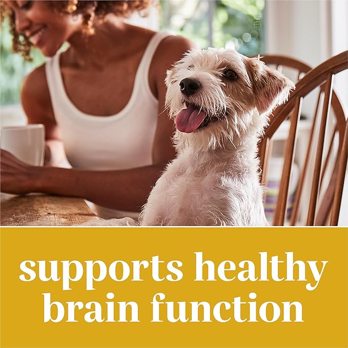 Dog Supplements Powered by Purina Brain Health Chewable Tablets with Coconut Oil - 4.02 oz. Canister