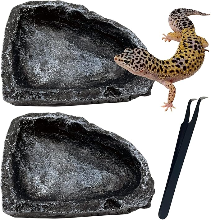 Reptile Feeding Dish Water Bowls 2 Pack Food Dish Water Dish Reptile Dish with Breadworm Feeding for Dragon Leopard Gecko Lizard Spider Scorpion Chameleon(2 Pcs deep Color)