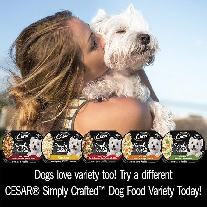 CESAR SIMPLY CRAFTED Adult Wet Dog Food Cuisine Complement, Chicken, (24) 1.3 oz. Tubs